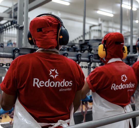 Modelo de Sostenibilidad